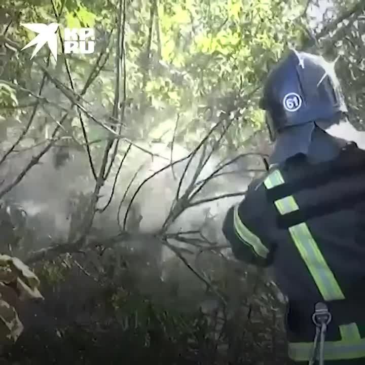 �� ����� ����� ��� �������: � ������ ������ � ��� ��������� 147 ��������� �������