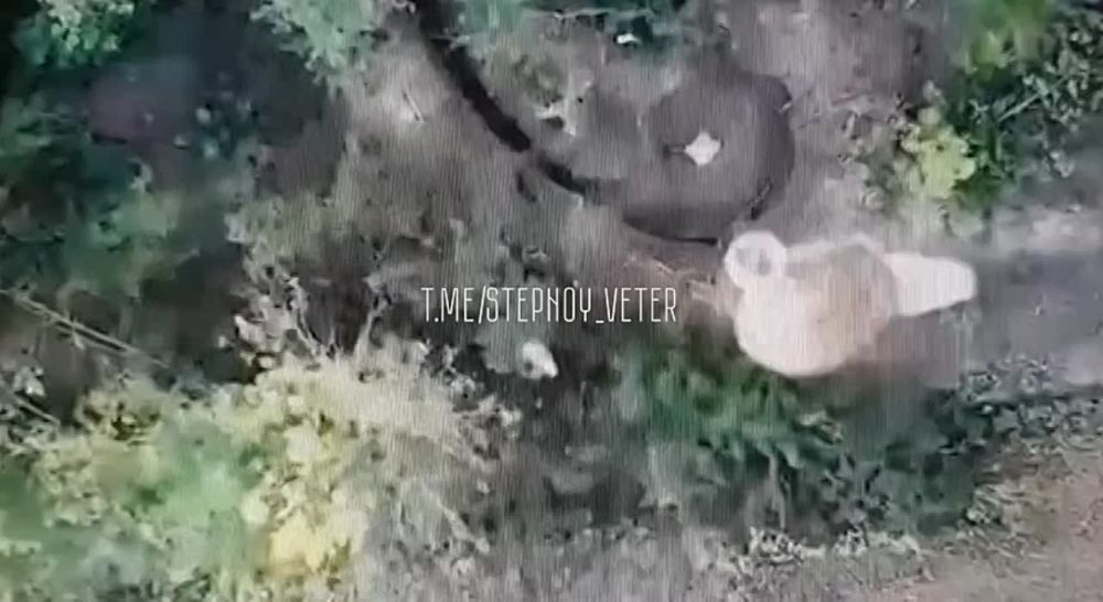 Евгений Лисицын: На Южно-Донецком направлении российские подразделения активно задействуют ударные дроны