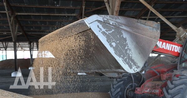 В ДНР намолочено более 720 тыс. тонн зерновых и зернобобовых культур