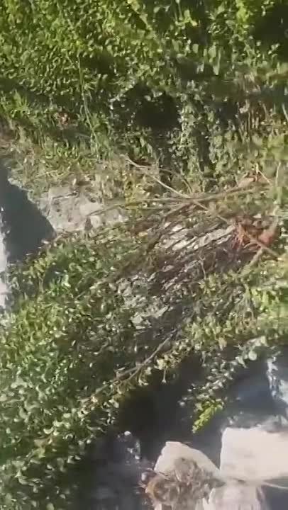 Сегодня ВСУ вновь обстреляли Донецкую мечеть