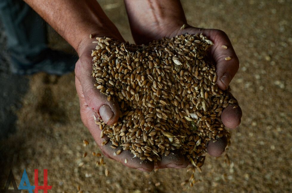 В ДНР появится завод по производству зерновых контейнеров и силосов