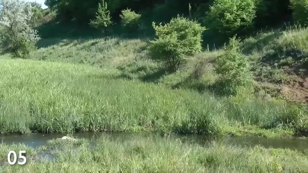 ��� ����������: �������� ����������