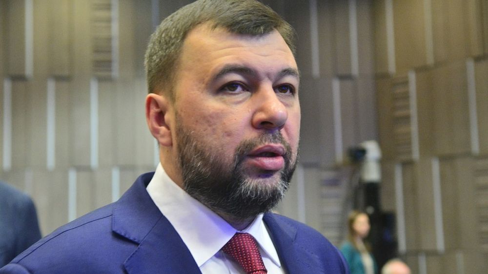 Пушилин: замена министра обороны Украины ничего не меняет для России