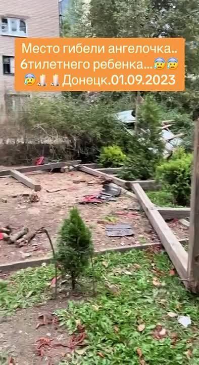 Виктория Мельникова: Место гибели шестилетней Илоны в Донецке