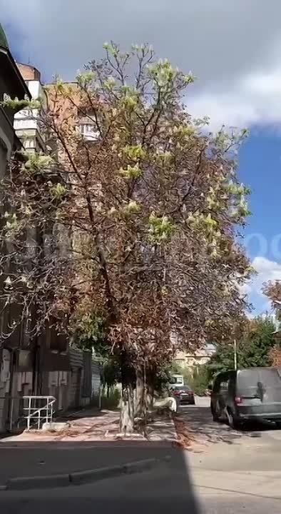 � ������� � �������� ������� �������
