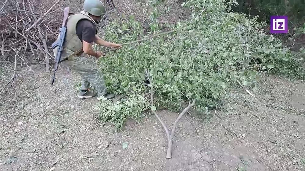 "������� ����� �� ������������ ������ ��". ������������� "��������" ������� ��������� �������, ��� ���� �������������� �������� ����������� ���������� �� ������ ������� �� �������� �����������