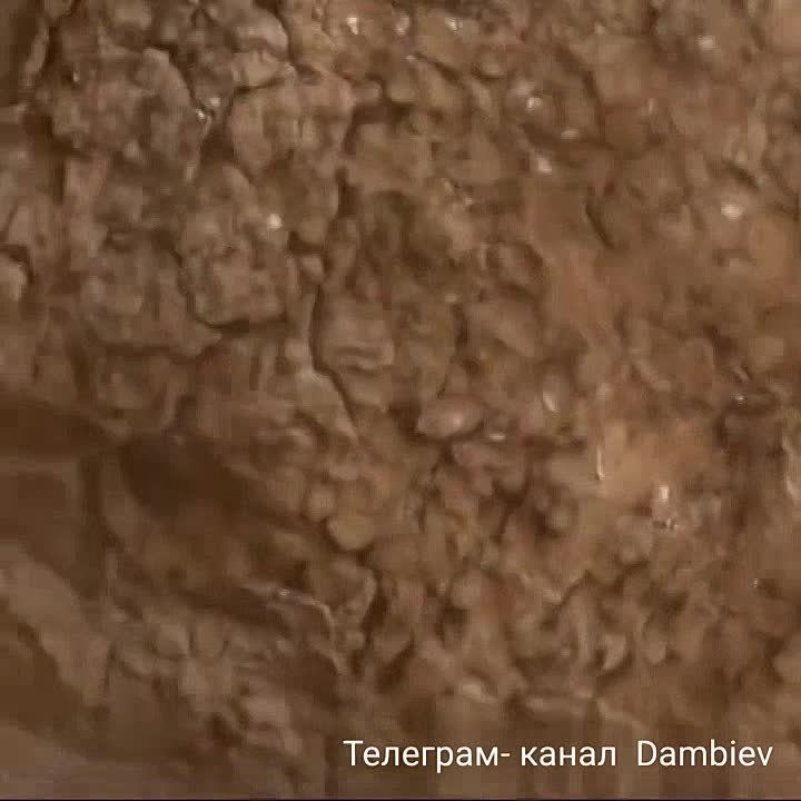 Чингис Дамбиев: "Я поранено, я поранено". Результат отличного прилета в украинскую траншею в районе н.п. Клещеевка на Донецком направлении