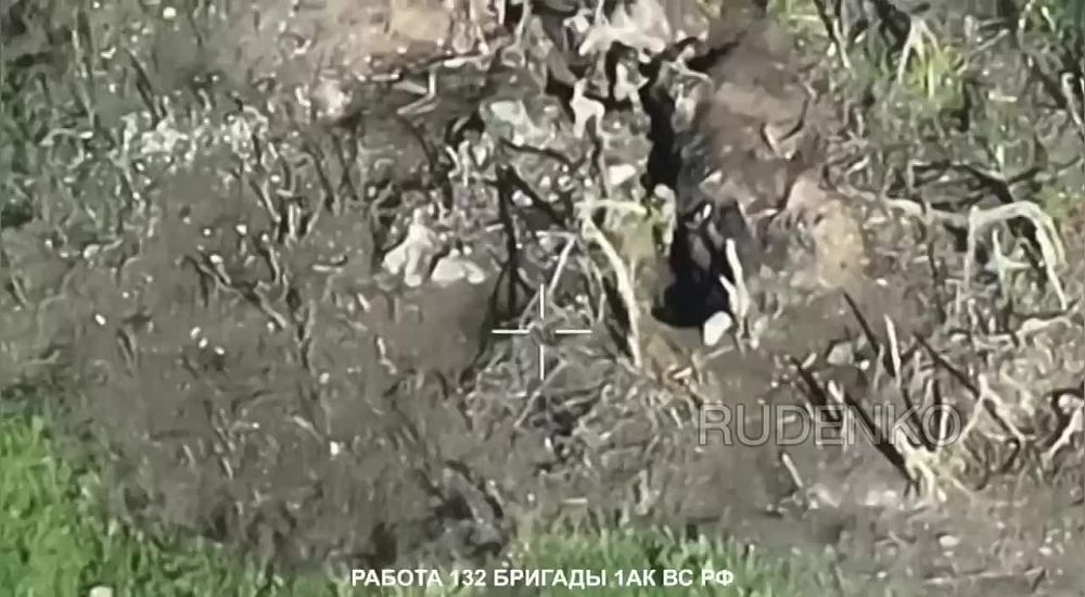 ������ �������: 132 ������� 1 �� �� �� � ������� ���������� �������� ������� ����� �� �������� �����������