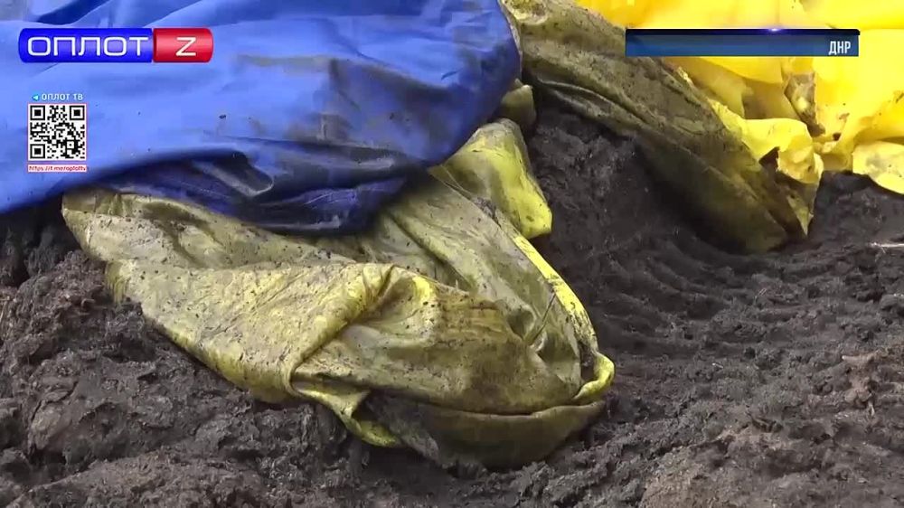 Борис Рожин: Запущенный в день выборов в Донецке украинский флаг на воздушных шарах упал на территории одного из местных свинарников