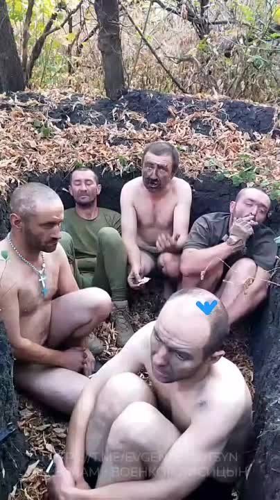 Евгений Лисицын: Очередные "воины света" попали в плен нашим бойцам у Новомайорского на Южно-Донецком направлении