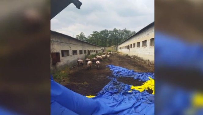 ������������������ ����� ����� � ������ ����������� � �����