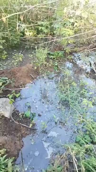 �� ��. ����������� � ������������ ������ 3 ������ ����� ����
