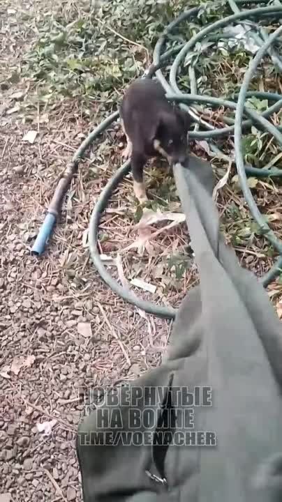 ����� ������������ ���� �������� �� ������: