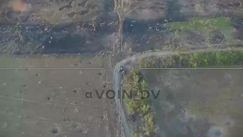 ������� �������: ������� ������� ����� � �������� ��������� ��������� ��������������� ��� �������� �������������� �� ����-�������� �����������