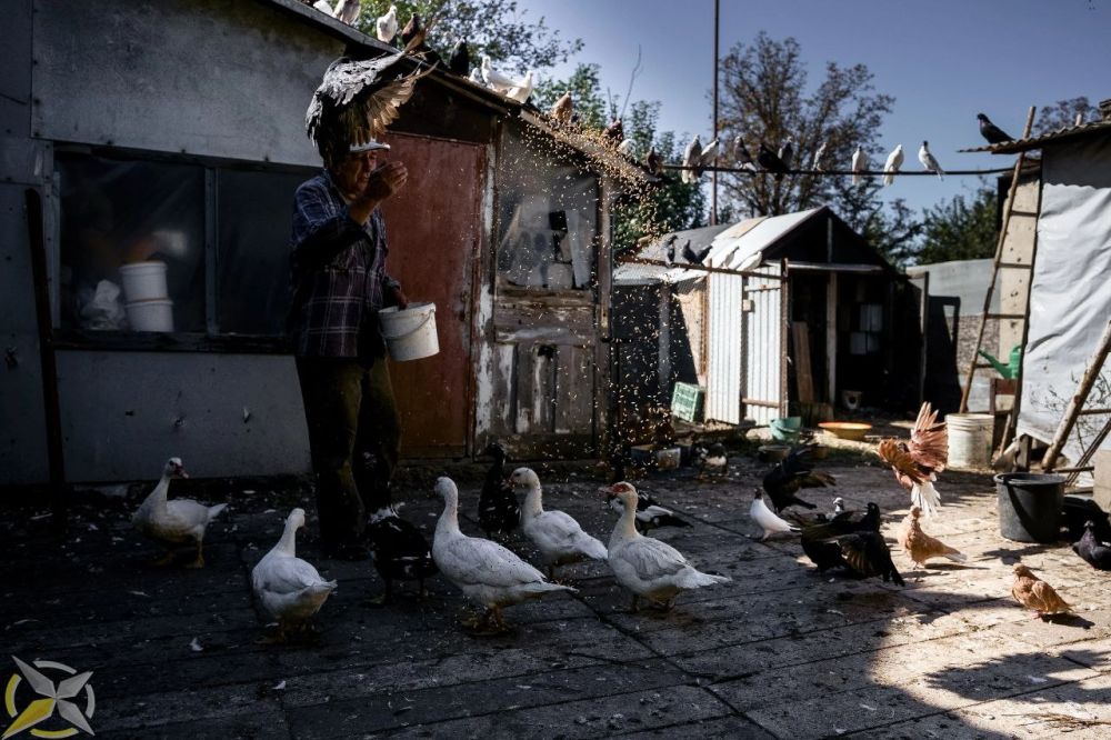 Денис Григорюк: Неоднократно рассказывал о Николае, который живет в нескольких сотнях метров от Донецкого аэропорта весь период конфликта в Донбассе