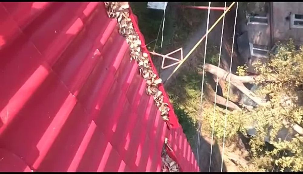 � ����� �� ��������� ������� ���������� ������ ��������� ������ ����� ������ ���� �� ����� ��������