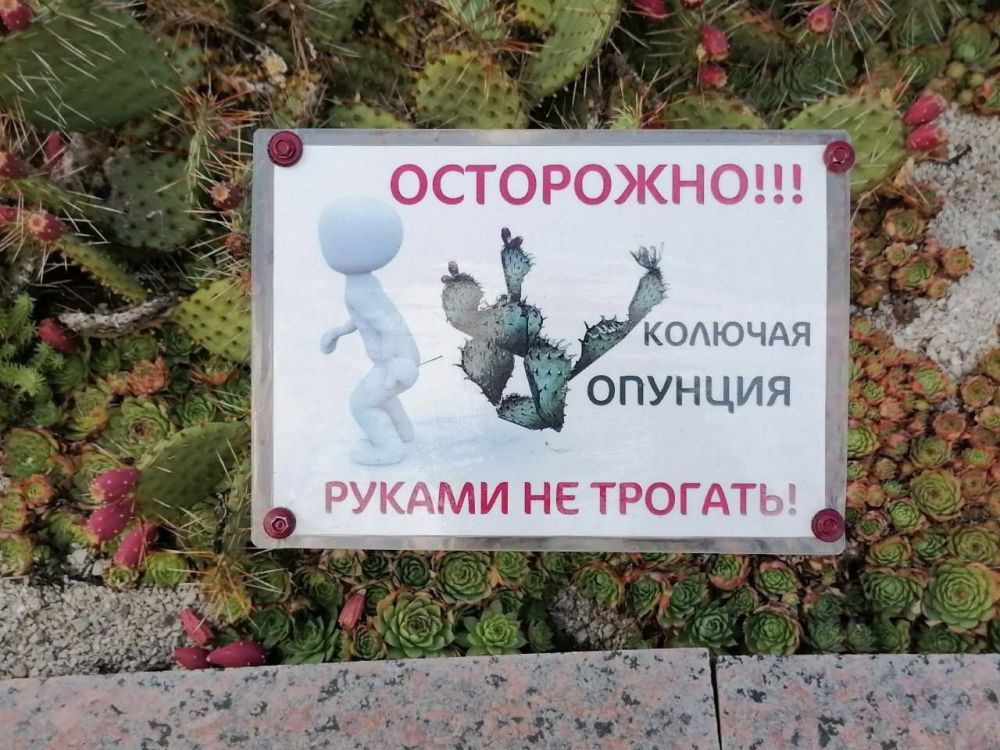 �������� � ������������ ����