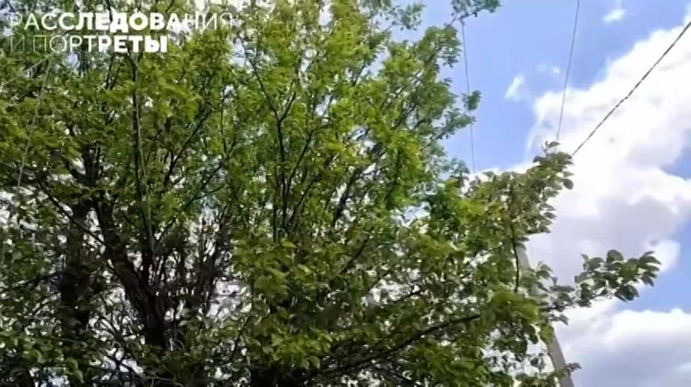 �������� ����� ������ ����� ����������� �������-���������
