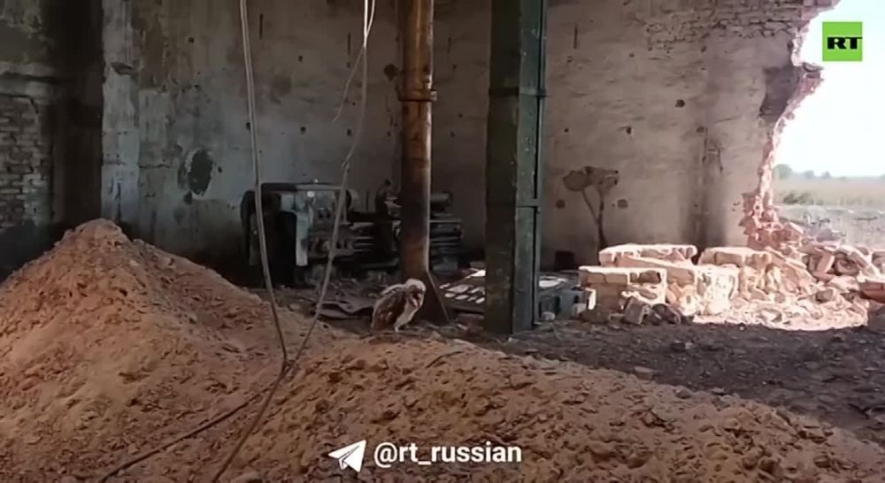 �� ����� ���� ����� ��� �����