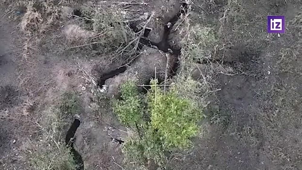 ������ ����� ���������� ����������� ��������� ������ ����� ����������� � ������ ����� ��