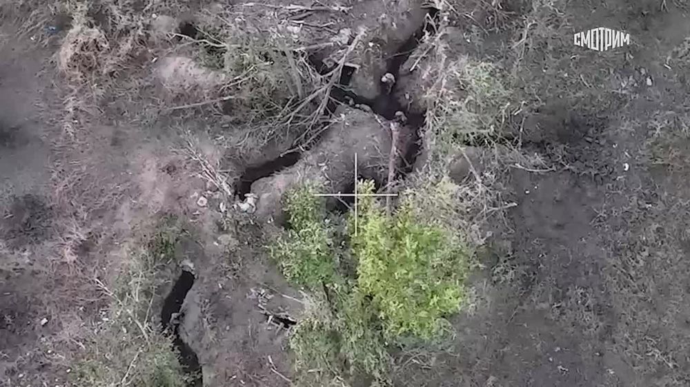 ���������� ���� ������� �������� ����� ������������� ��� ����������� ��� �� ����-�������� ����������� � ����������� ������ ���������