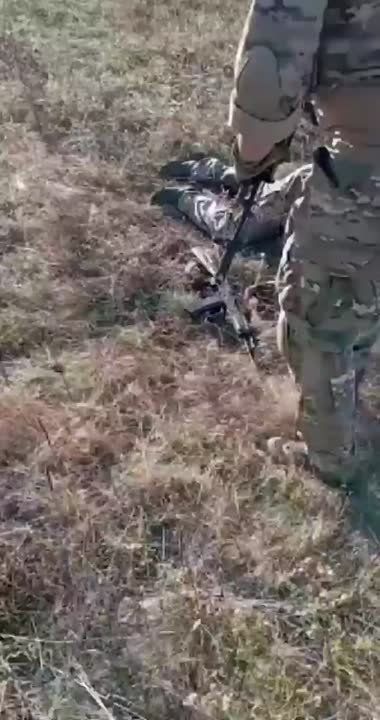 Чингис Дамбиев: Уничтоженные в районе н.п. Марьинка на Донецком направлении члены украинских вооруженных формирований