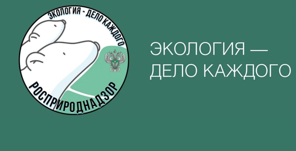 � ������ �������������� �������� �������������� ������ ����� ������������ �������� ������ ��������� - ���� �������