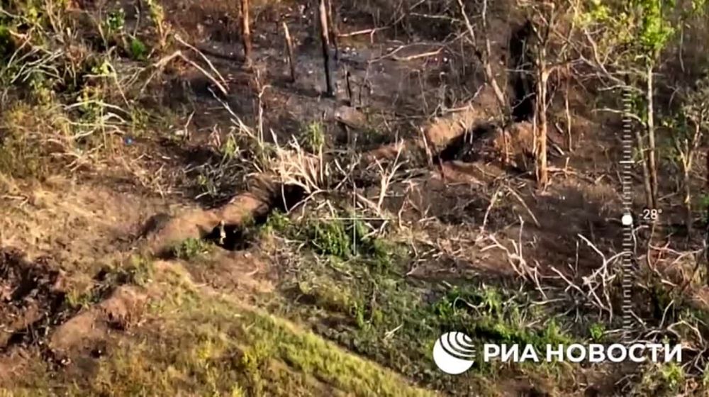 ����� �����: ��� ������� ��������� ����� ������ ������� ��� �� ����-�������� ����������� ��������������� ������ �������� ������