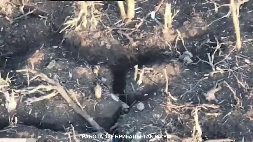 ������ �������: ����� 132 ������� 1 �� �� �� ���������� ����� �� �������� �����������