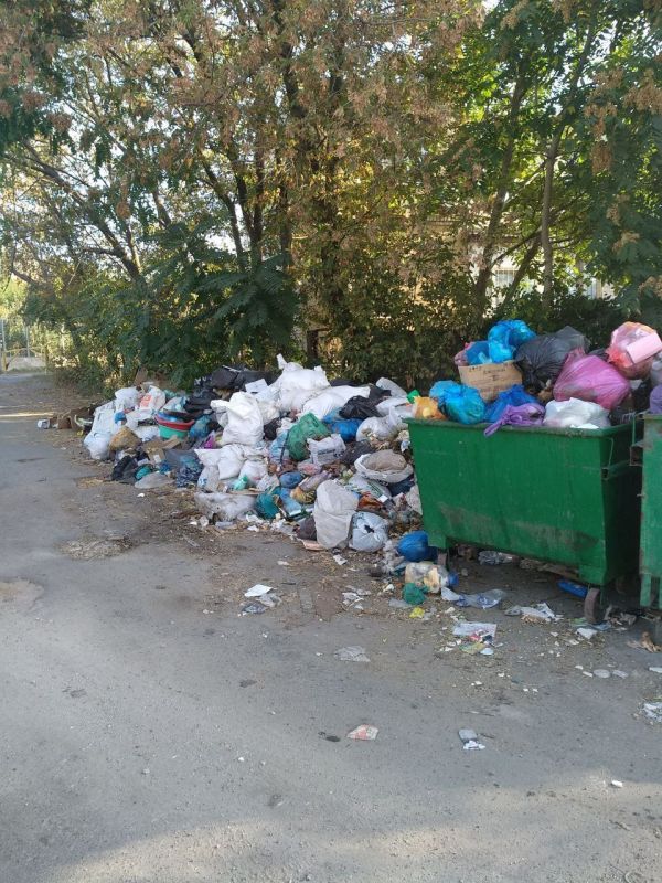 ������� ���������: � ��������� ������ �. ������� ������ �� ��������������� ������������