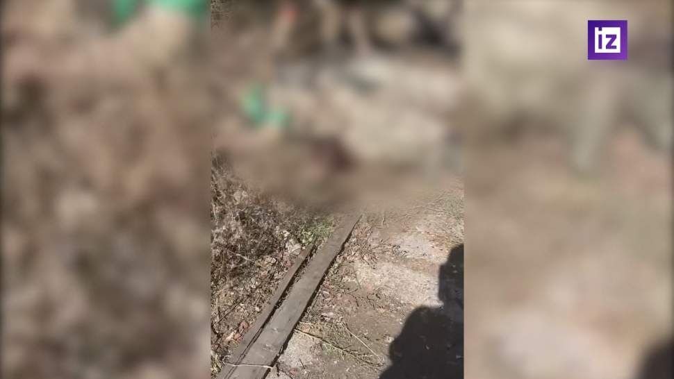 �� �� ����� ������� ������� ����� ��� �� ��������� �����������