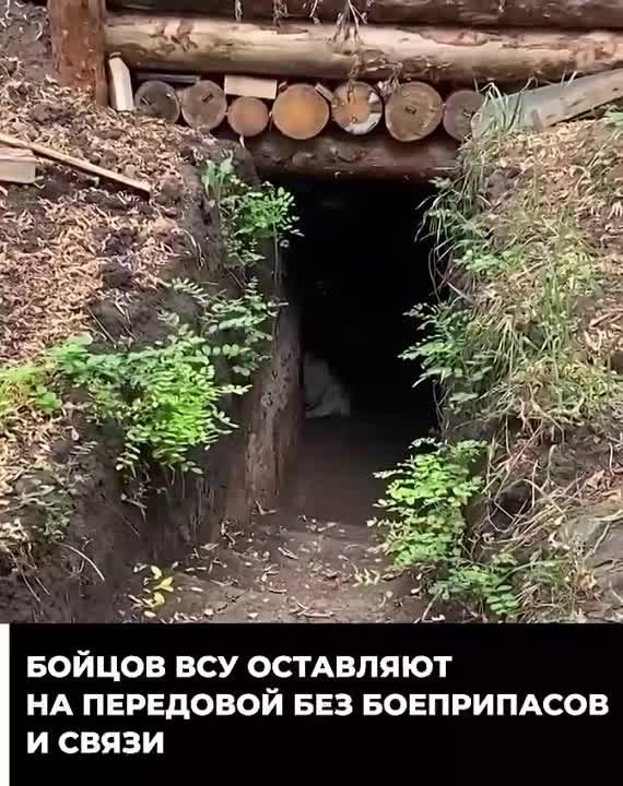 ������ ������� � ���� ������ ��� �������� ���