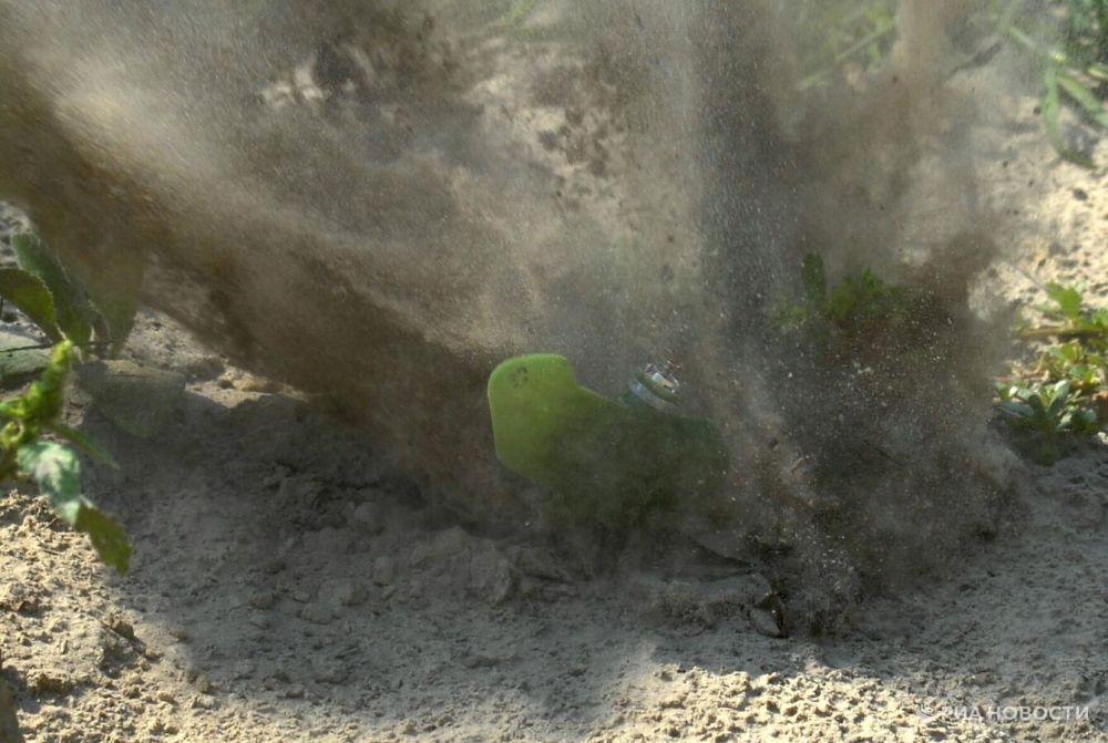 Около детского сада в Горловке мужчина подорвался на мине "Лепесток"