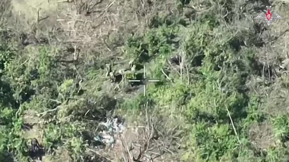 � ������ ����������� ������ ���������� ���� ������������ ���������� ������� ���