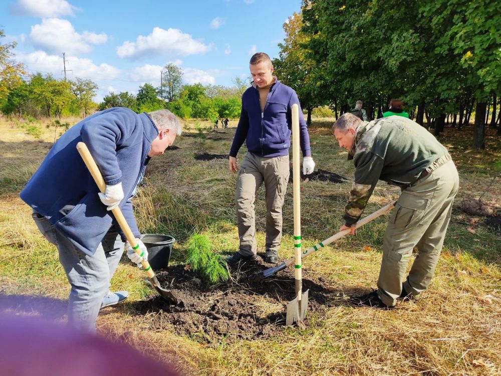 Владимир Ежиков: Сегодня высадили десятилетние кедры сибирские, которые Кузбасс передал в дар Республике