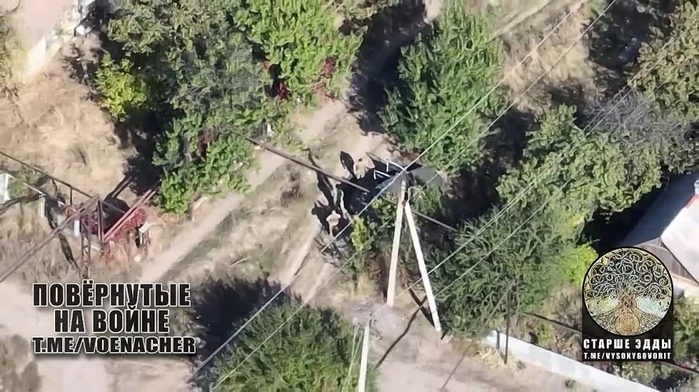 Евгений Лисицын: Российский ударный дрон "Упырь" поразил автомобиль укронацистов на Донецком направлении