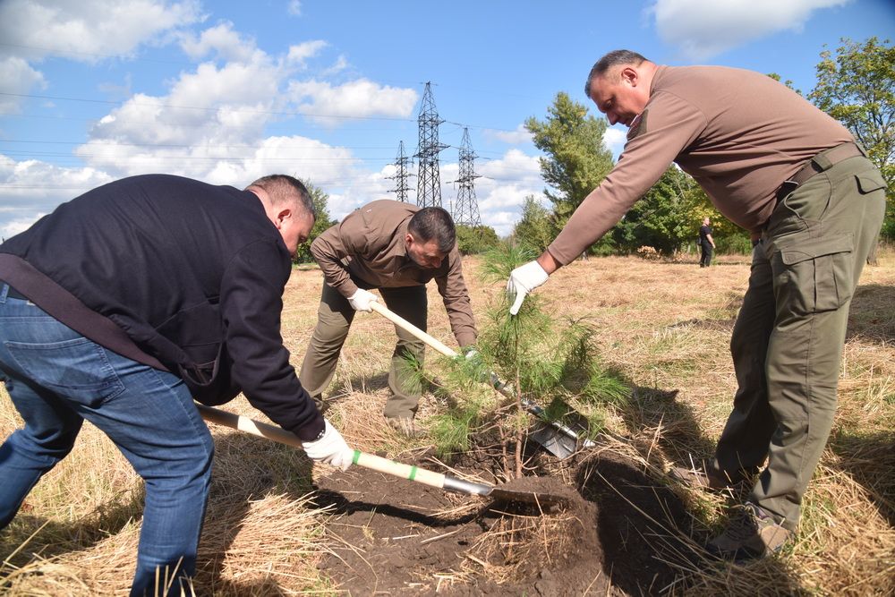 Денис Пушилин и почетные гости из Кузбасса высадили саженцы кедра в столичном парке им. Александра Захарченко