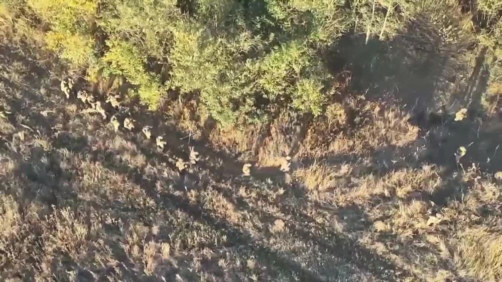 ������� �����: 17 �������� ��� ������� � ���� ������ �������� �� �������� �����������