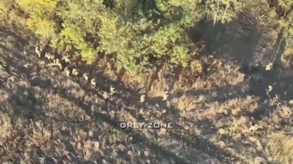 ����� �����: �� �������� ����������� ������� � ���� 17 ������ ���. ������ ������� ���� ������� �������