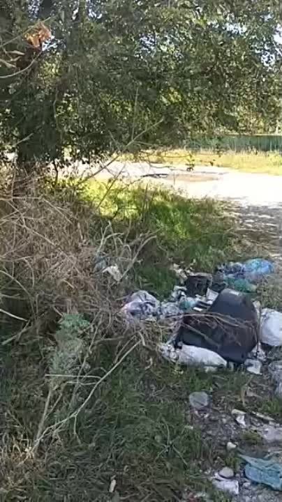 ������� ���������: �������, 07 �������, ������������� ���������� ��������������� ������� ��������� � ������������ ��� ��� "���� ��������" ��� � 3 ���������� ������ �. ������� ���� ���������� ��������� ��������� �������� �� ����� ���������