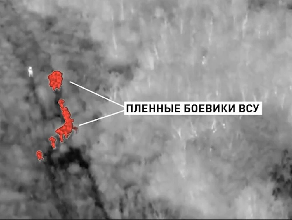 «От обмена отказываемся»: Бойцы ВСУ, сдавшиеся в плен, хотят остаться в России