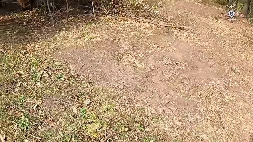 ���������� 5-� ������� ������������ ������ �� ���������� �����������