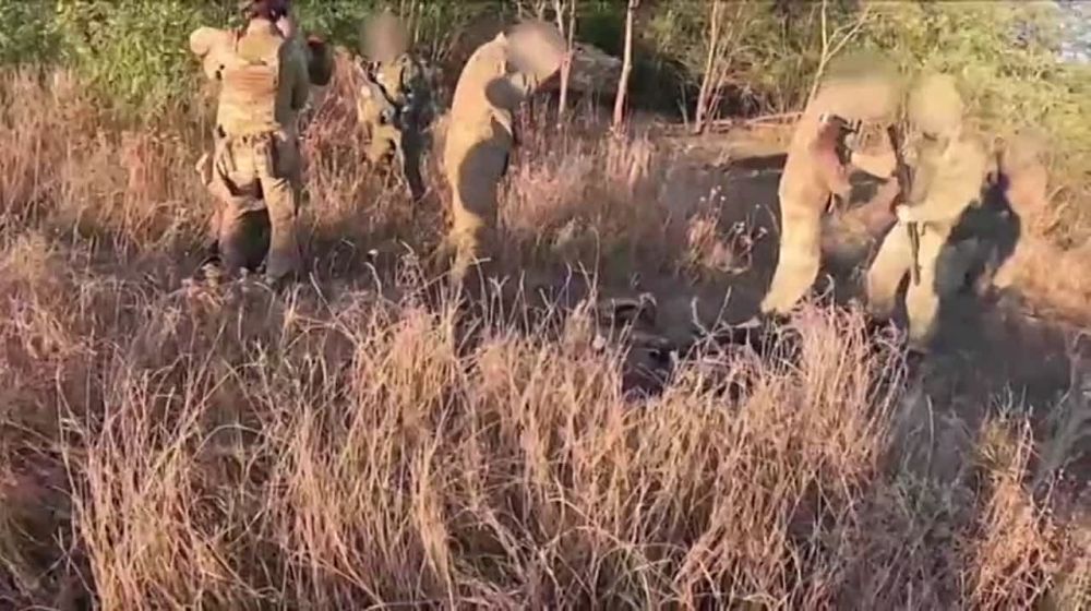 ����� �����: ��� �������� ��������� ���������� ���������