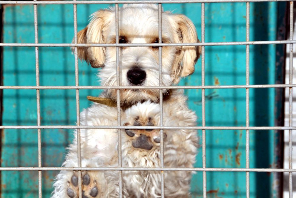 ������� ���� � ������ ������� ����������