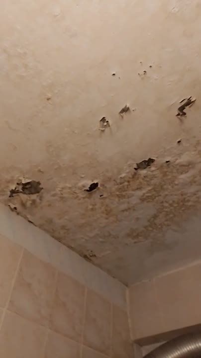 ���������� 29, ����� �����