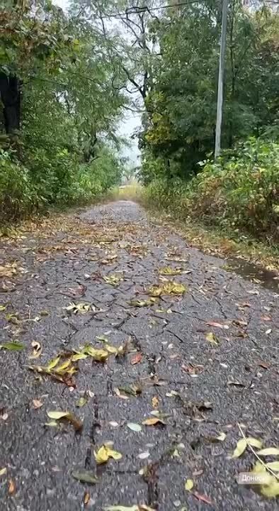 ��� ���� �� ����� ��������� ����� � �������