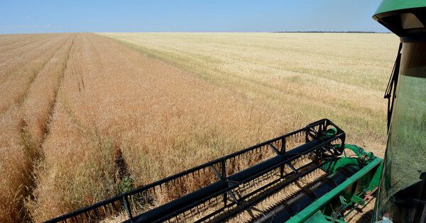 «Единая Россия» предложила увеличить финансирование развития села