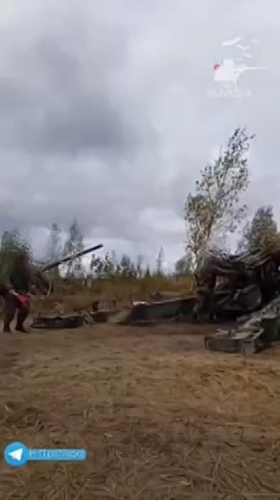 ����� �� ���������� ����������� �������� ����������� ����� �� �������� ����������
