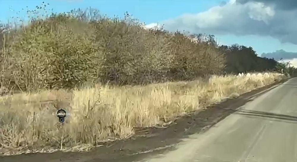 ��������� �������: ���������� ����������� ����� ���������