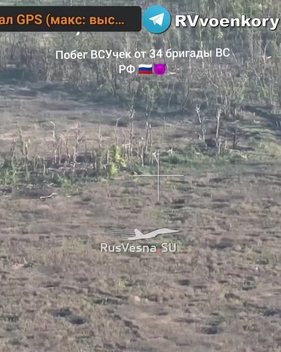 Евгений Лисицын: Мясной штурм не задался: укронацисты спасались от огня российской армии бегством